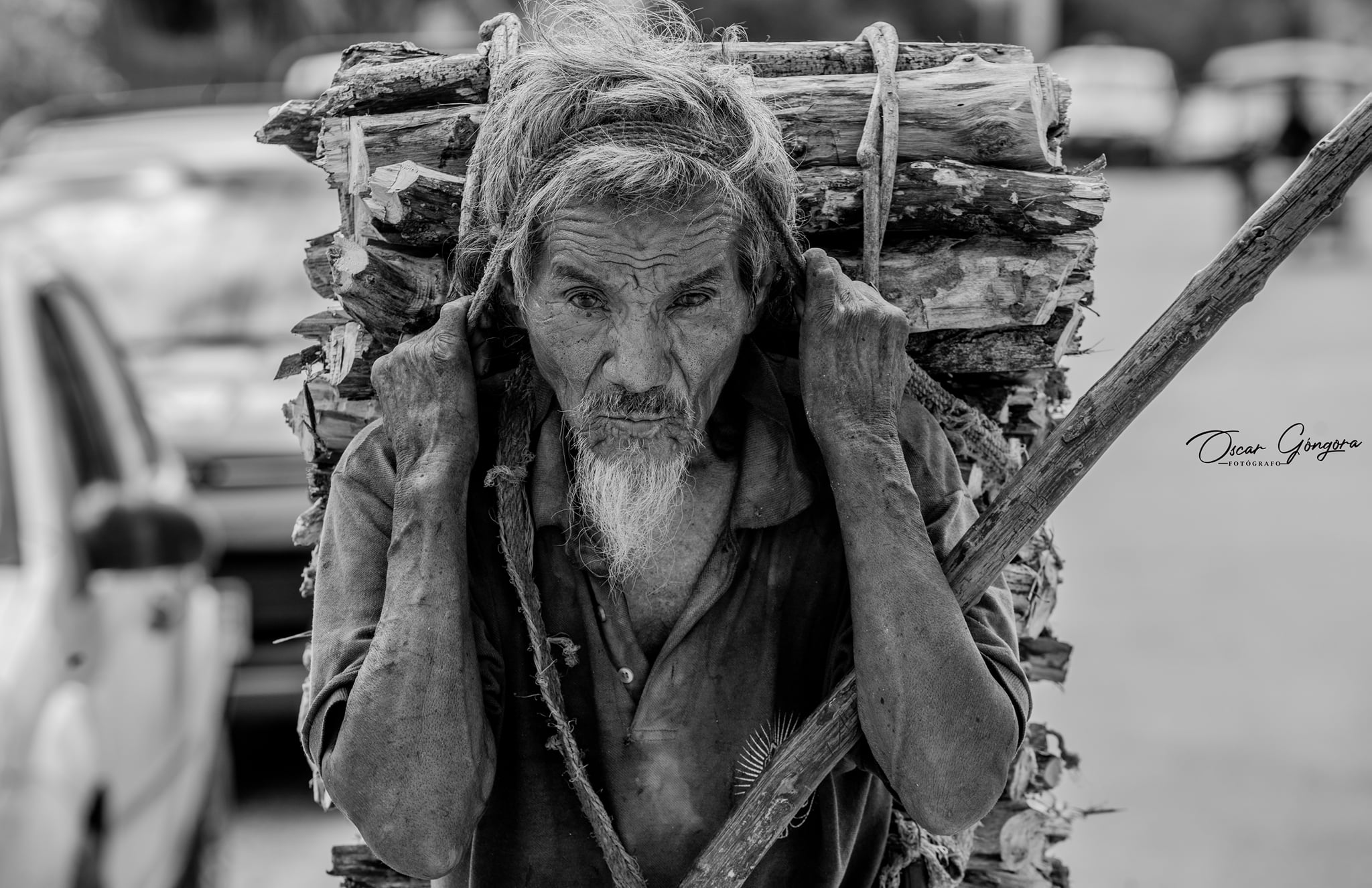 Descripción de la imagen